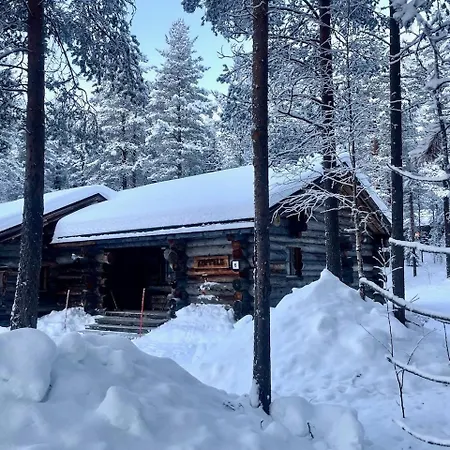 Koppelo - 2 Km Levikeskus - 150 M Bus